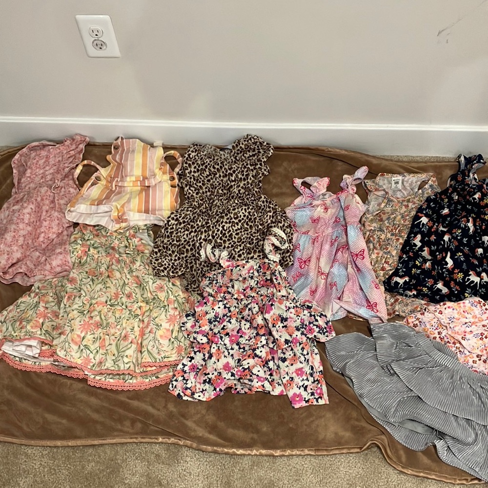 3T girl dresses/skirts